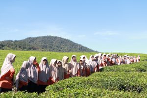 WhatsApp Image 2025-11-10 at 11.38.47_1a6b9e53